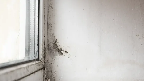Mur humide _ que faire et comment traiter durablement